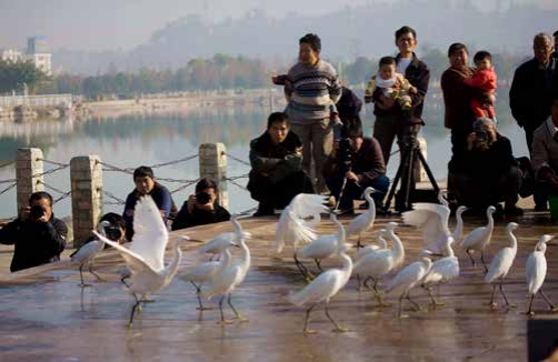 【NEWS CHINA】Researcher Wu Fei speaks with NewsChina about his work developing standards for  Yunnan’s birdwatching industry that aim to deliver standardized, inclusive and long term sustainable growth