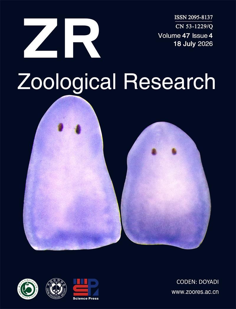 Zoological Research (ZR)  Vol 47, No 4