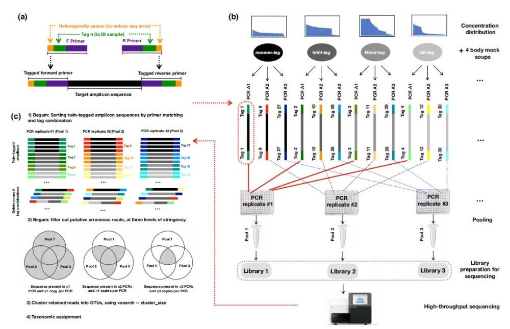 Researchers develop rapid monitoring methods of biodiversity: A bulk-sample metabarcoding pipeline emphasizing error reduction