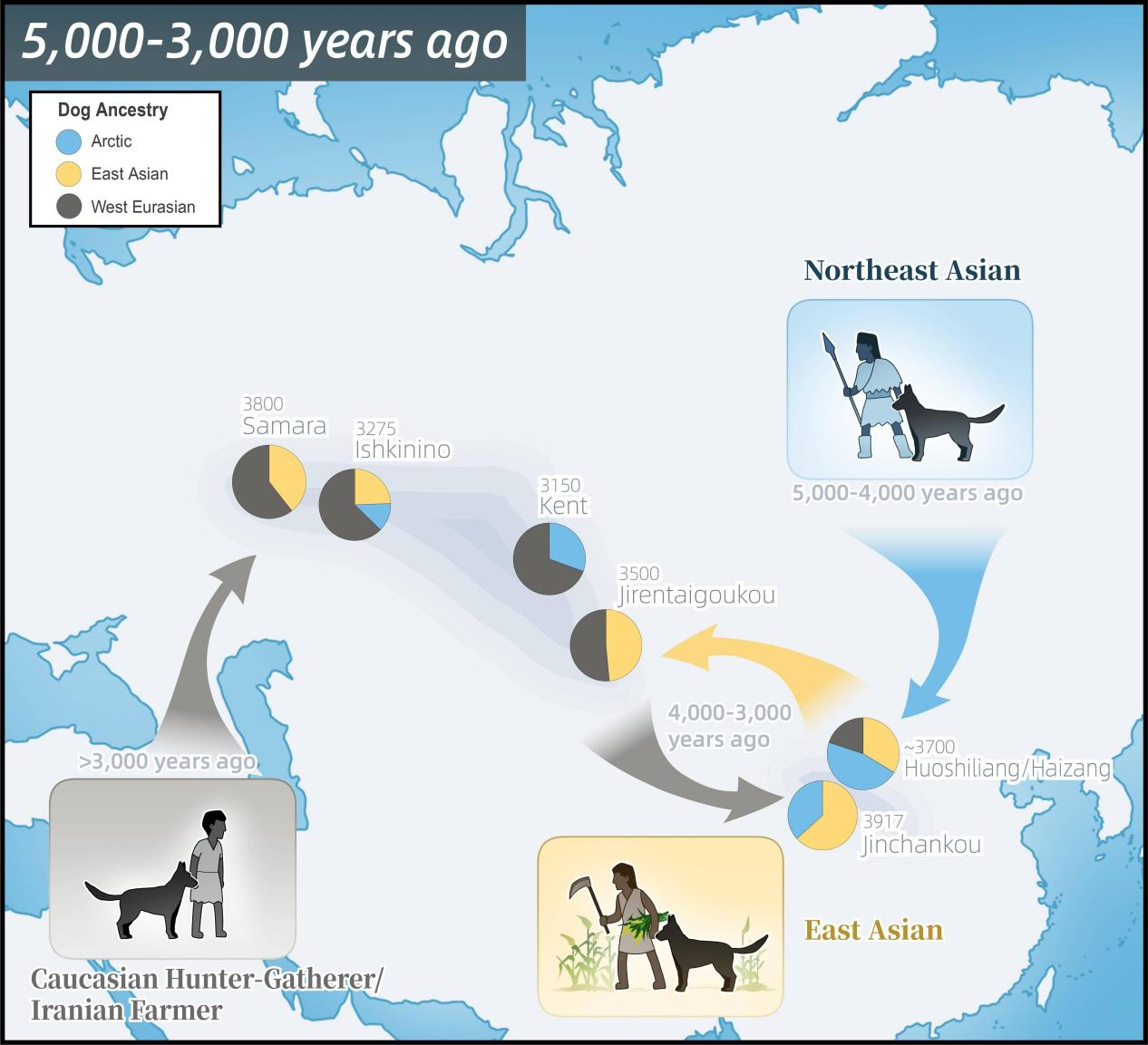 Genomic Study Reveals Co-dispersal of Dogs and Humans Across Eastern Eurasia