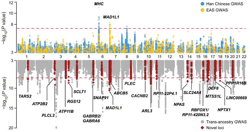 Unlocking Bipolar Disorder's Genetics: How Ancestral Diversity Are Paving the Way for Precision Psychiatry