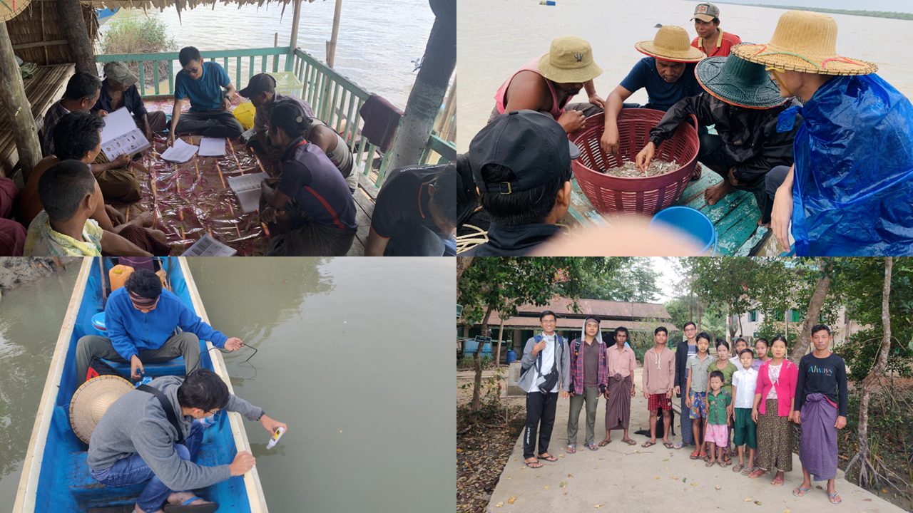 Mangrove Micro-climates Safeguard Estuarine Fish Diversity Against Thermal Stress and Salinity Intrusion in the Irrawaddy Delta