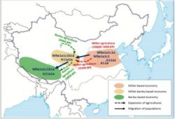 Researchers Decipher Forces Shaping Maternal Genetic Landscape of Han Chinese