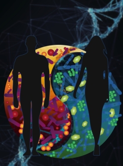 How and Why Men and Women Differ in Their Microbiomes?